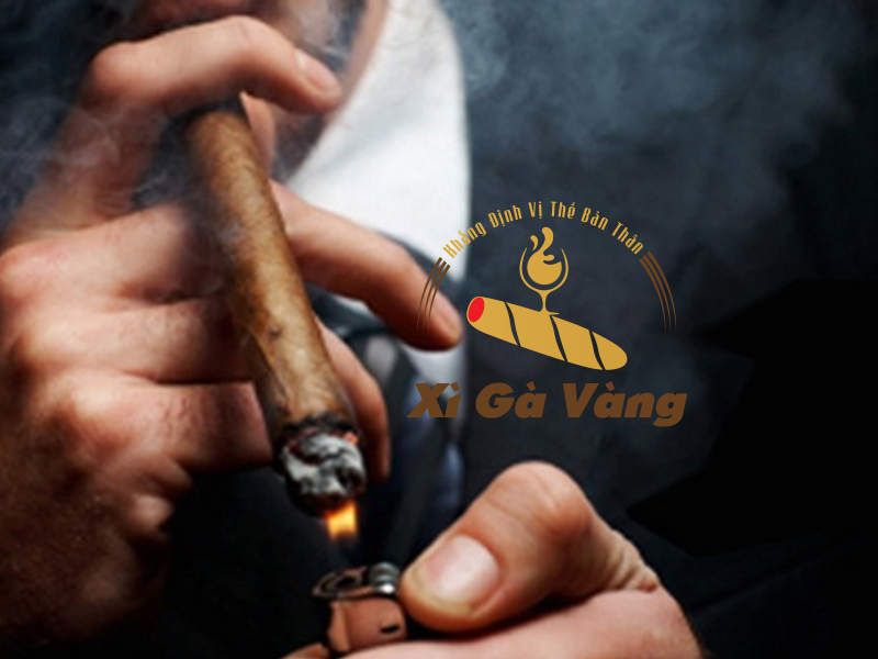 Nicotin trong xì gà Cuba là một chất gây nghiện